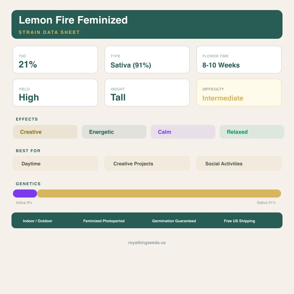 Lemon Fire 9% indica / 91% sativa — fleur avec trichomes visibles
