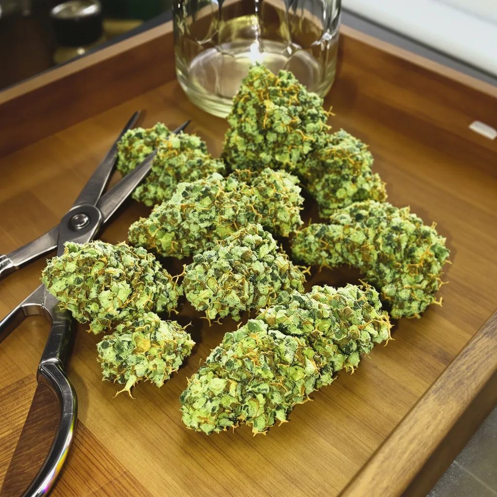 Lemon G 25% indica / 75% sativa — fleur avec trichomes visibles