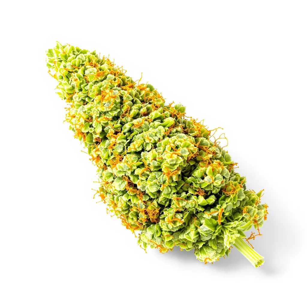 Lemon G 25% indica / 75% sativa — fleur avec trichomes visibles