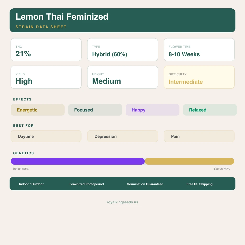 Lemon Thai 60% indica / 50% sativa — fleur avec trichomes visibles