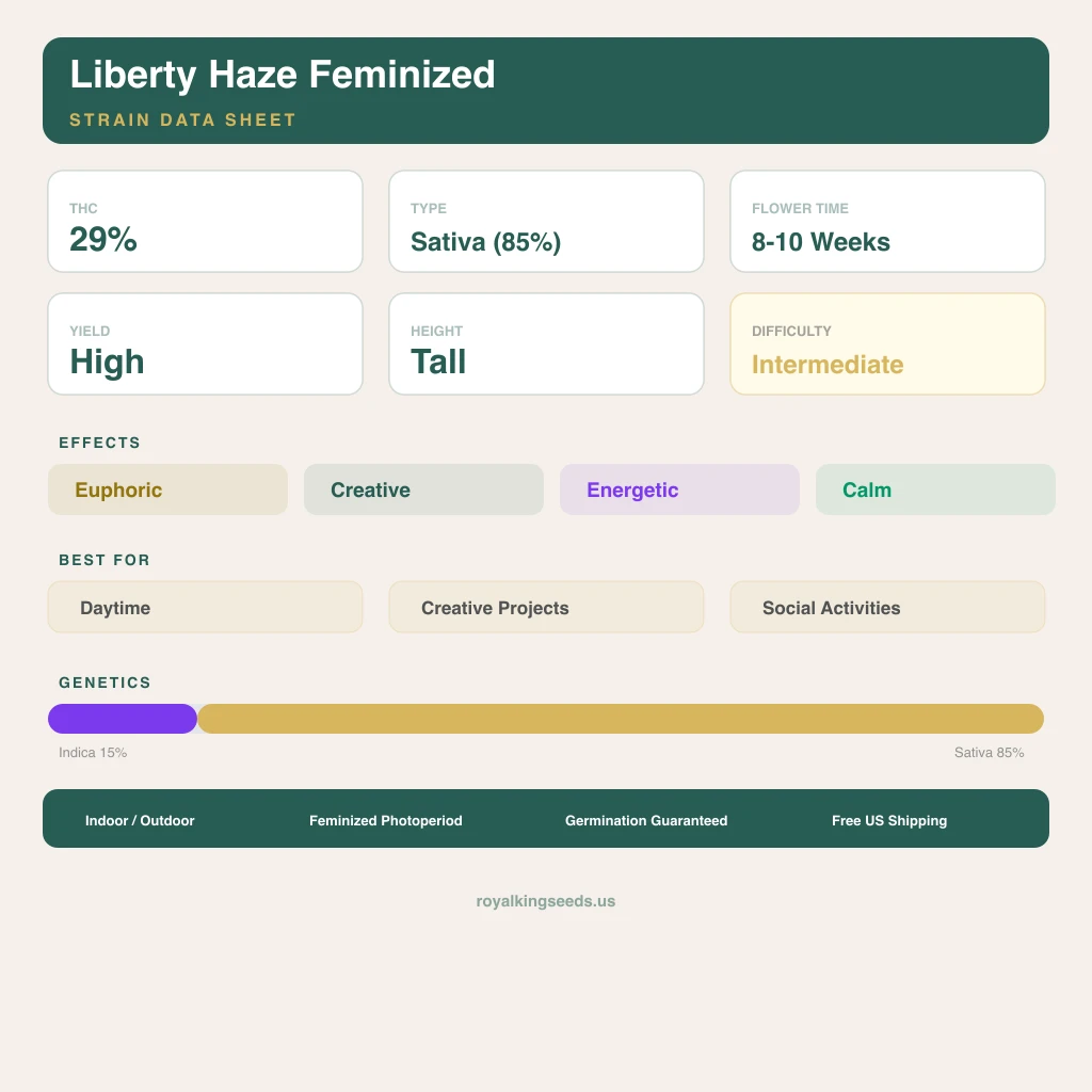 Liberty Haze 15% indica / 85% sativa — fleur avec trichomes visibles