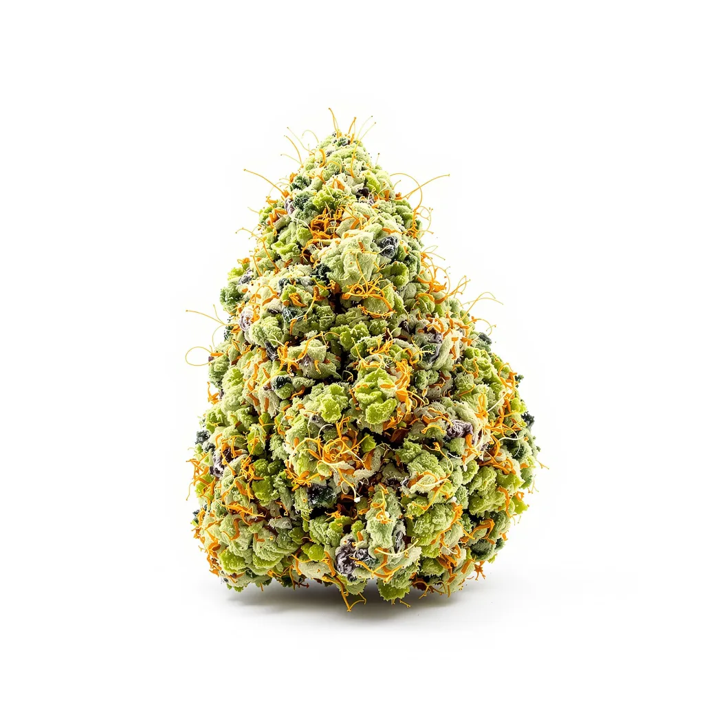 Love Potion #1 30% indica / 70% sativa — fleur avec trichomes visibles