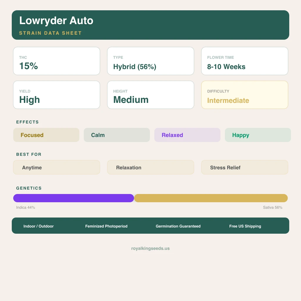 Lowryder 44% indica / 56% sativa — fleur avec trichomes visibles