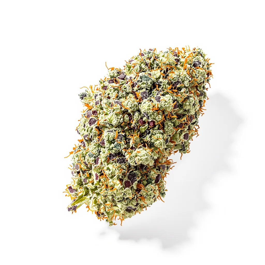 Lowryder 44% indica / 56% sativa — fleur avec trichomes visibles
