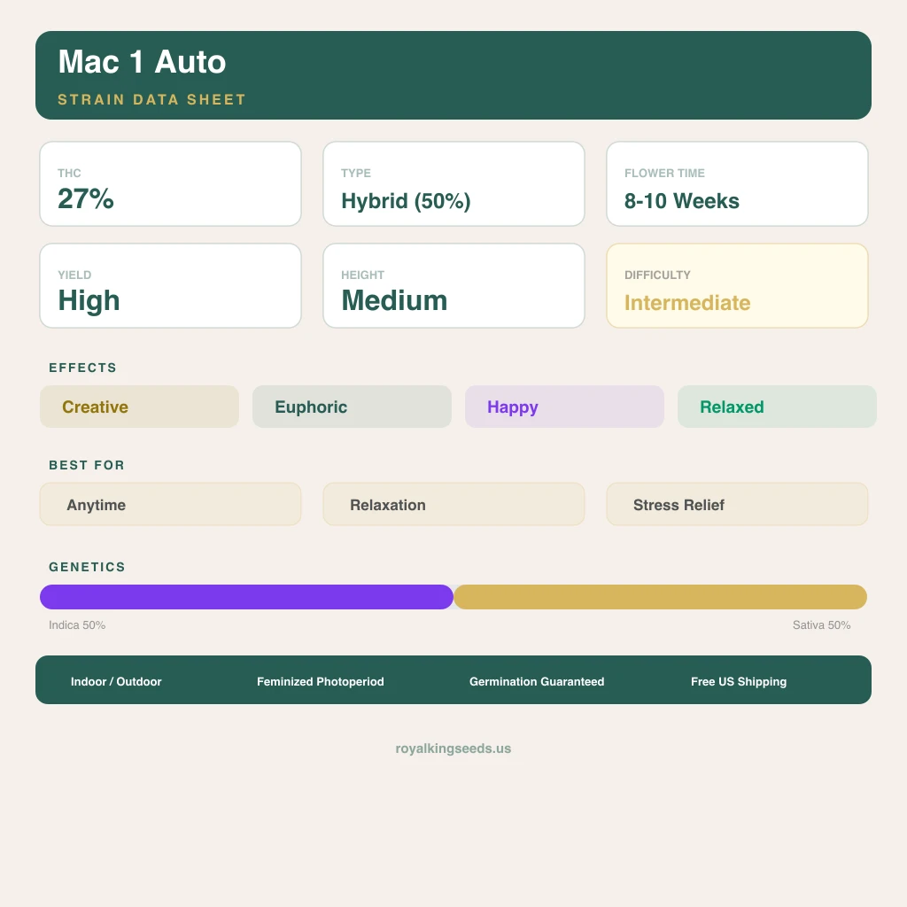 Mac 1 50% indica / 50% sativa — fleur avec trichomes visibles