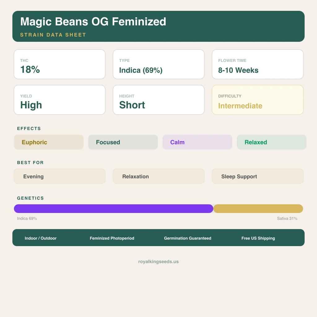 Magic Beans OG 69% indica / 31% sativa — fleur avec trichomes visibles