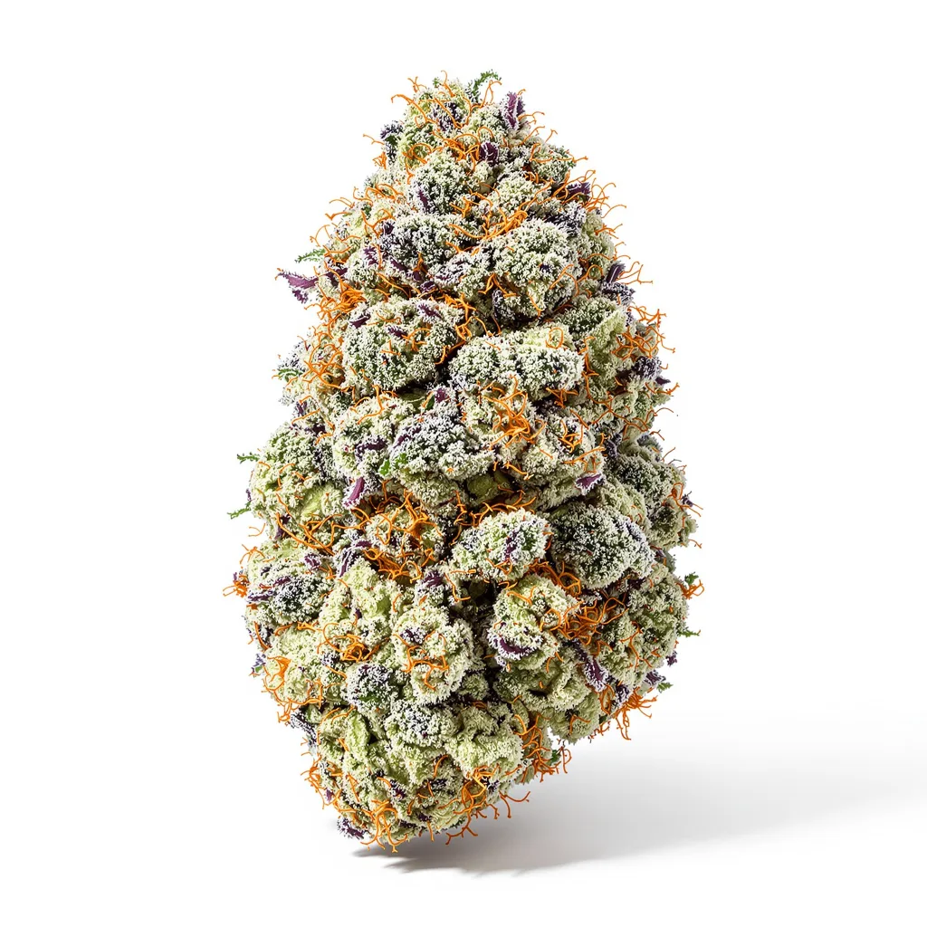 Mandarin 36% indica / 64% sativa — fleur avec trichomes visibles