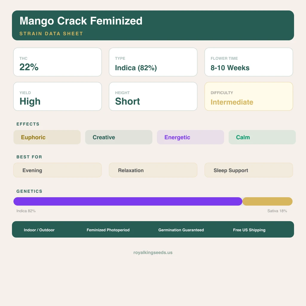 Mango Crack 82% indica / 18% sativa — fleur avec trichomes visibles