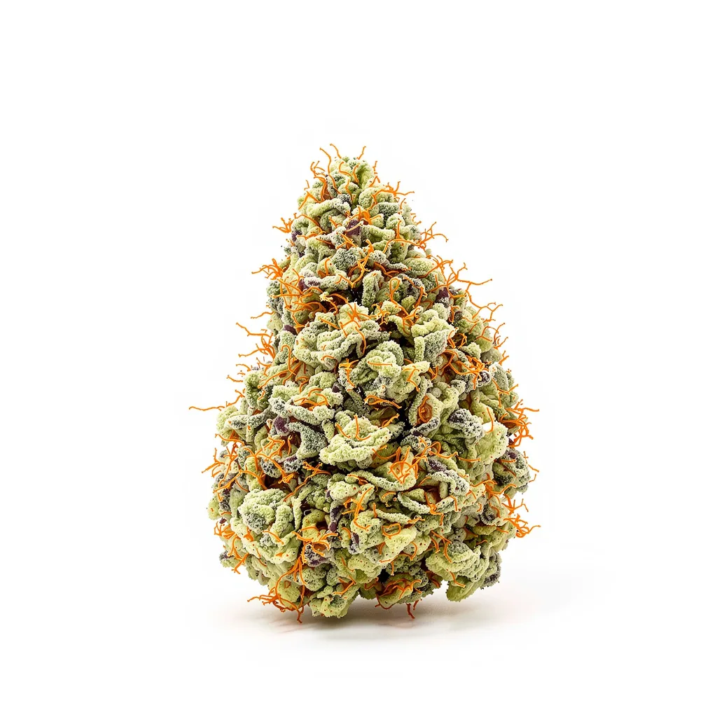 Mango Haze 40% indica / 60% sativa — fleur avec trichomes visibles