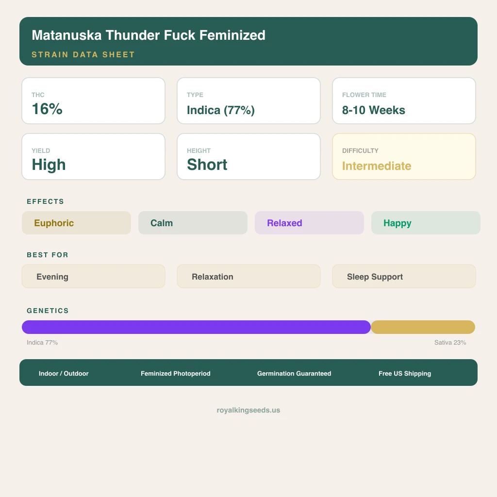 Matanuska Thunder Fuck 77% indica / 23% sativa — fleur avec trichomes visibles