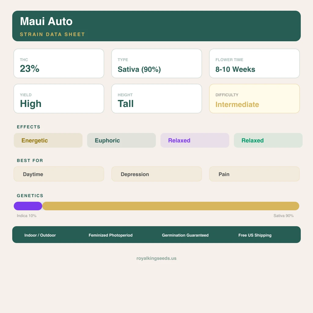 Maui 10% indica / 90% sativa — fleur avec trichomes visibles