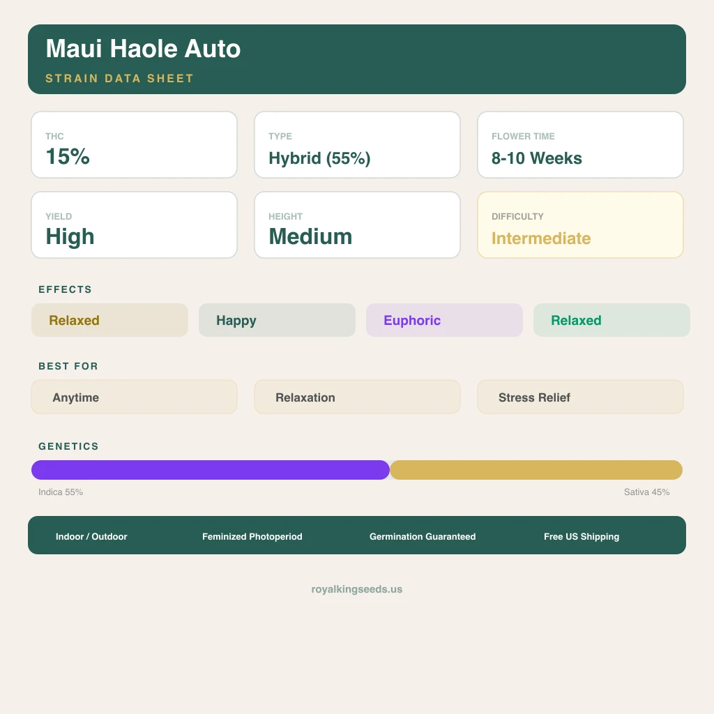 Maui Haole 55% indica / 45% sativa — fleur avec trichomes visibles
