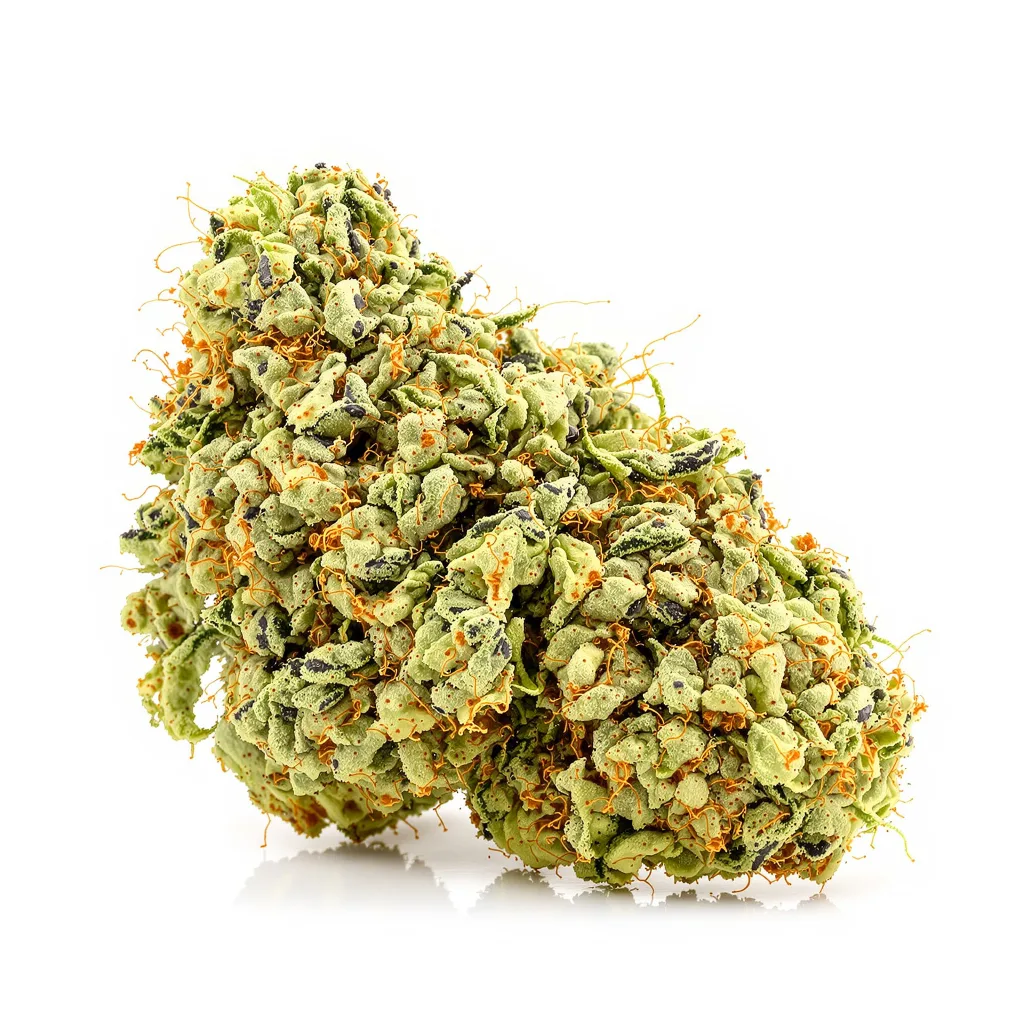 Maui Wowie 20% indica / 80% sativa — fleur avec trichomes visibles