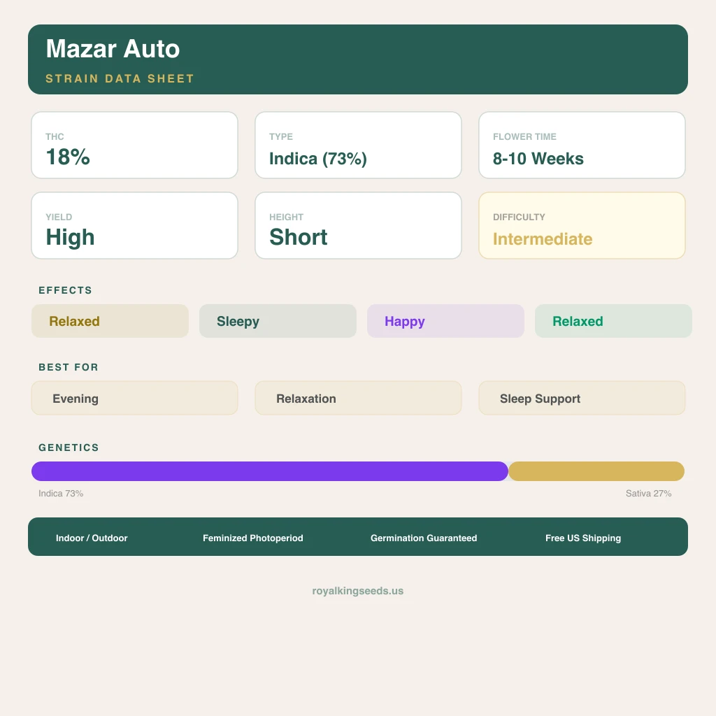 Mazar 73% indica / 27% sativa — fleur avec trichomes visibles