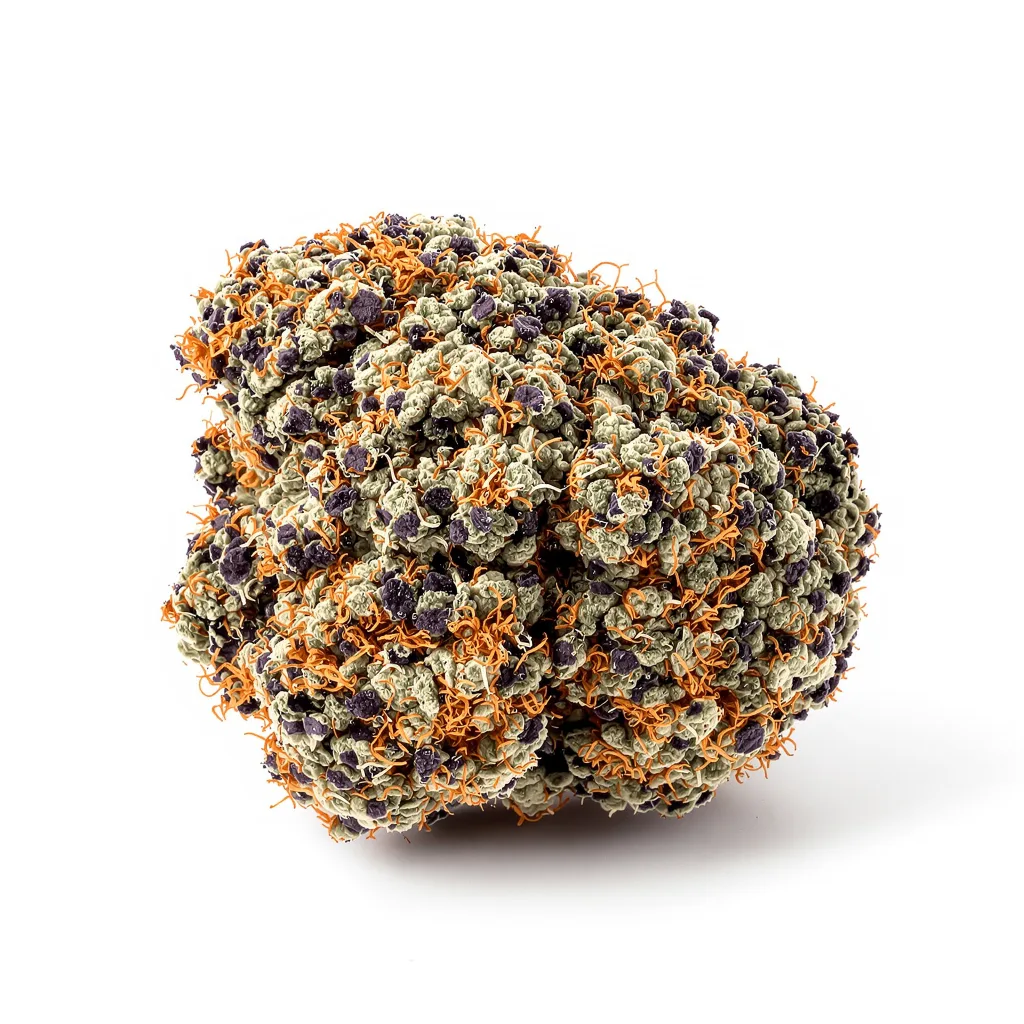 Mazar 73% indica / 27% sativa — fleur avec trichomes visibles
