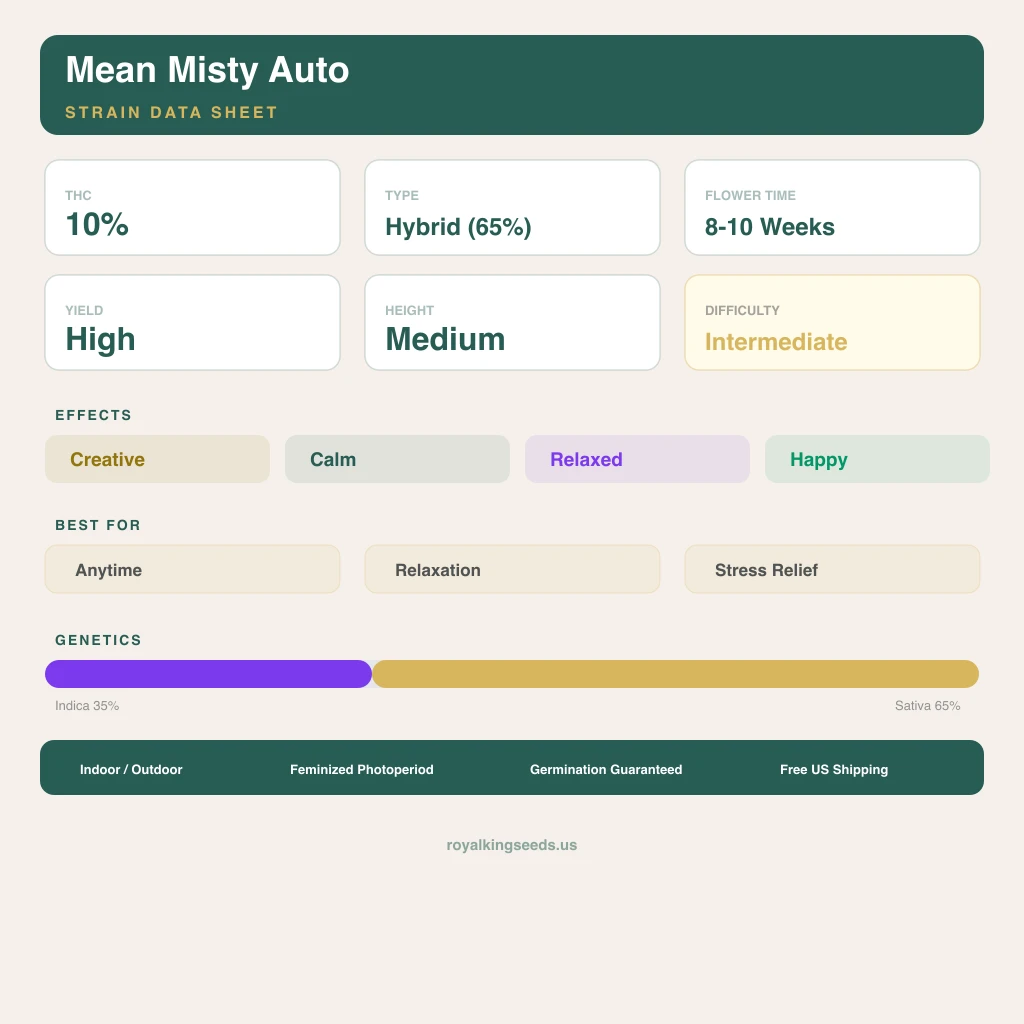 Mean Misty 35% indica / 65% sativa — fleur avec trichomes visibles