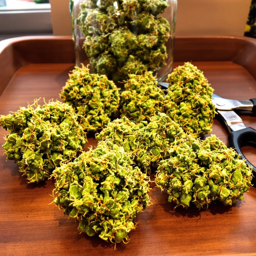 Melonade 17% indica / 83% sativa — fleur avec trichomes visibles