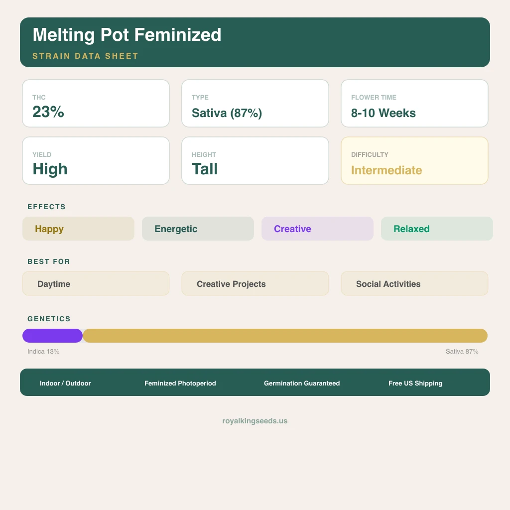 Melting Pot 13% indica / 87% sativa — fleur avec trichomes visibles