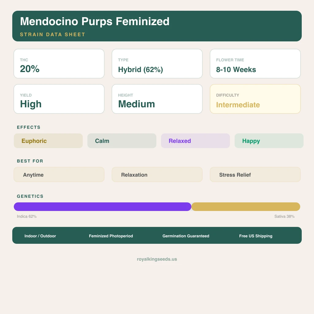 Mendocino Purps 62% indica / 38% sativa — fleur avec trichomes visibles