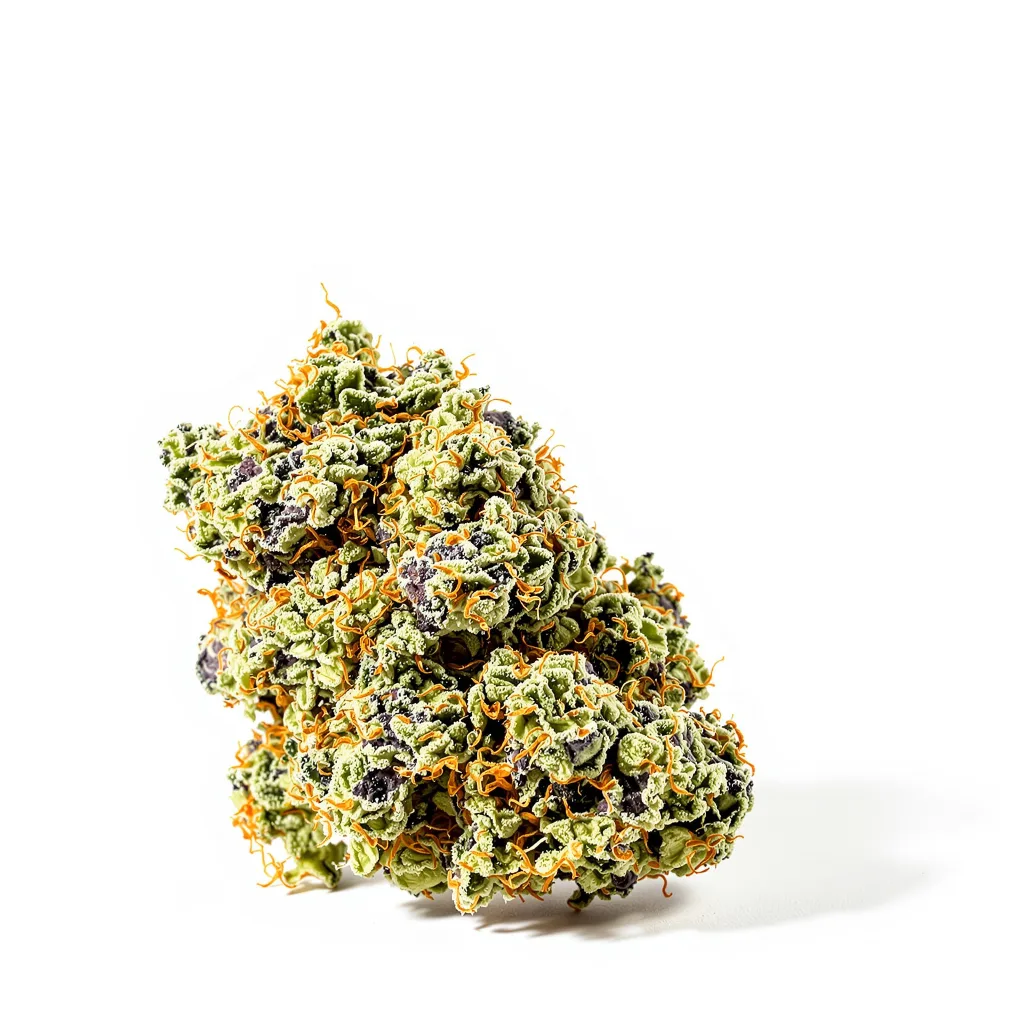 Mendocino Purps 62% indica / 38% sativa — fleur avec trichomes visibles