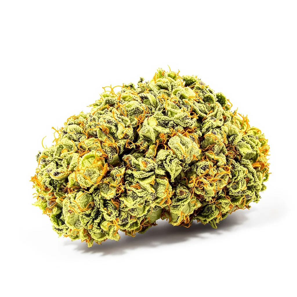 Mickey Kush 25% indica / 75% sativa — fleur avec trichomes visibles