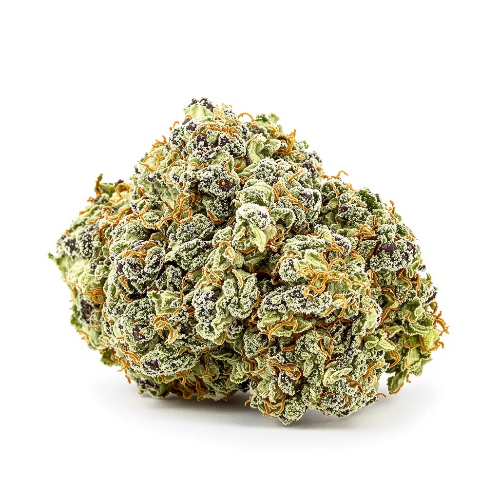Mint Chocolate Chip 36% indica / 64% sativa — fleur avec trichomes visibles
