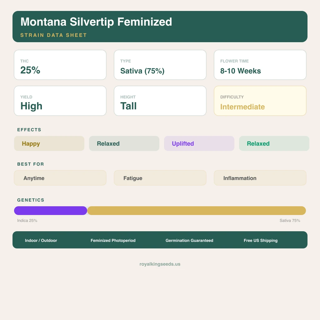 Montana Silvertip 25% indica / 75% sativa — fleur avec trichomes visibles