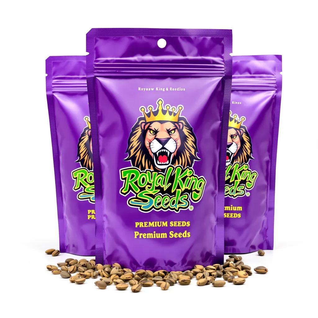 Morning Glory 43% indica / 57% sativa — fleur avec trichomes visibles