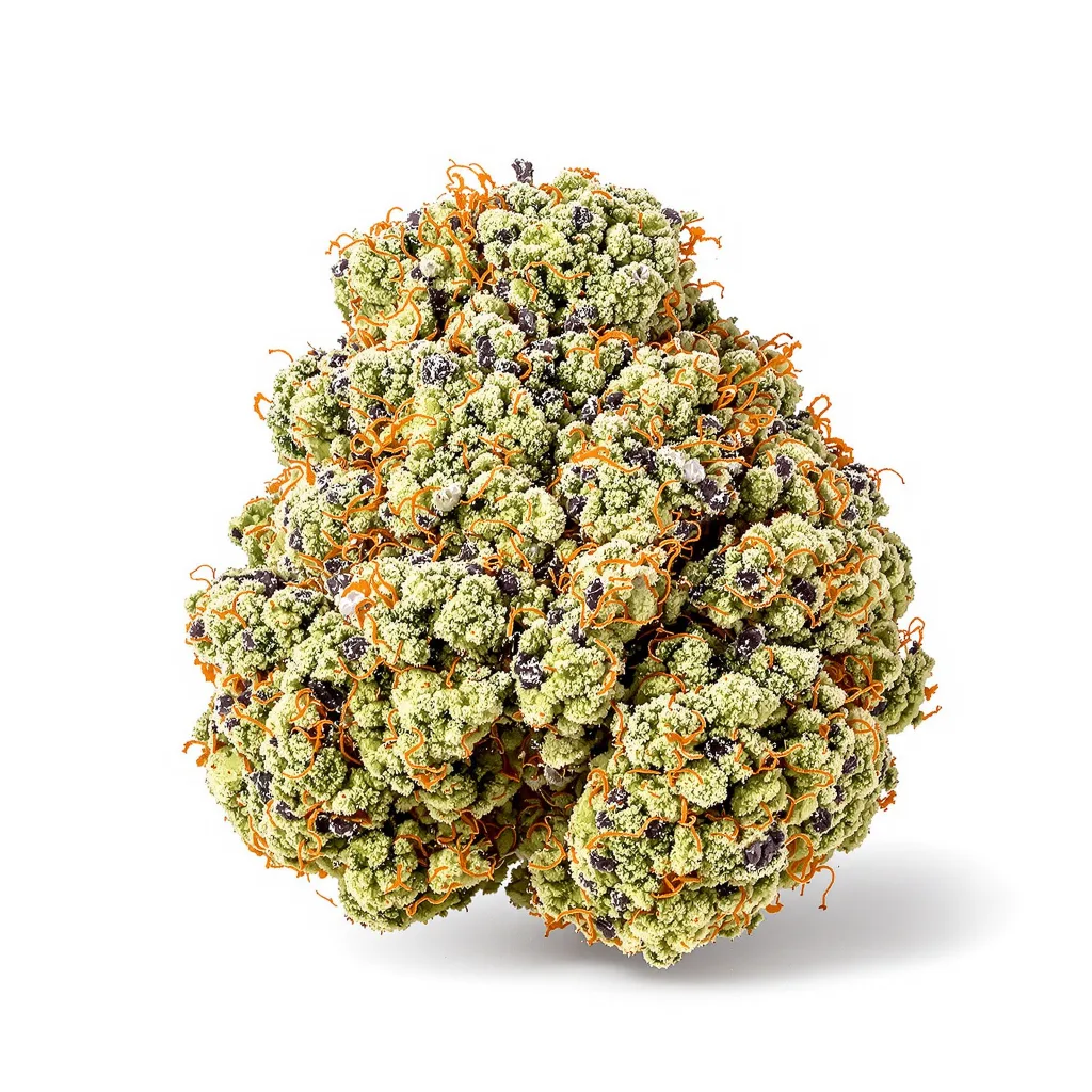 Mother’s Helper 49% indica / 51% sativa — fleur avec trichomes visibles