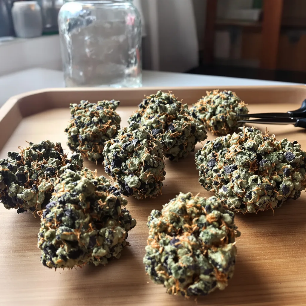 New Glue 80% indica / 20% sativa — fleur avec trichomes visibles