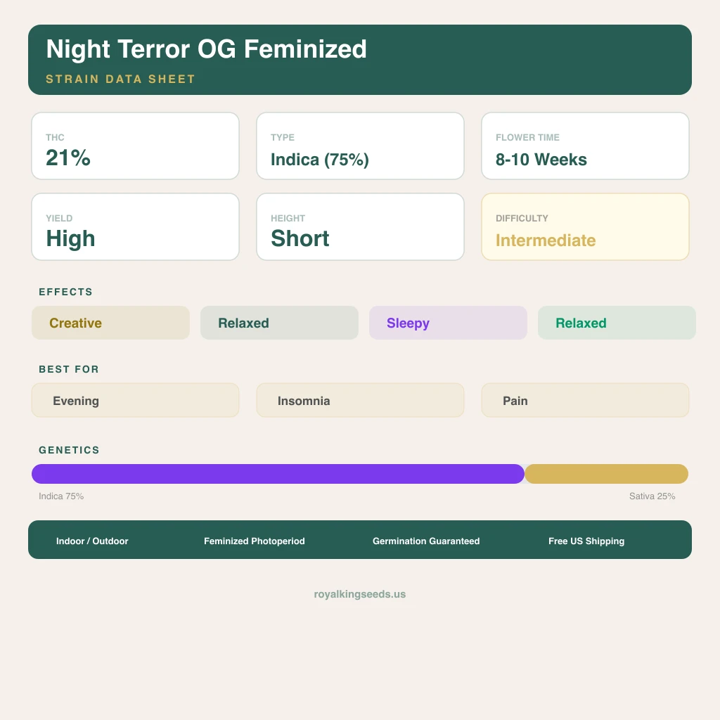 Night Terror OG 75% indica / 25% sativa — fleur avec trichomes visibles