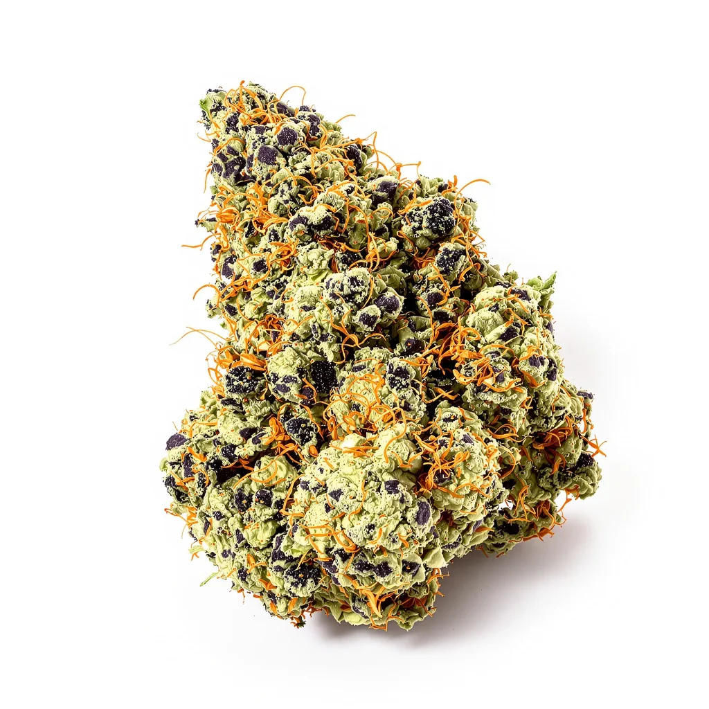 Night Terror OG 75% indica / 25% sativa — fleur avec trichomes visibles
