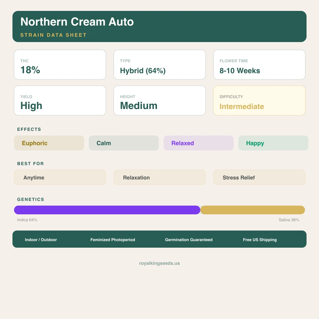 Northern Cream 64% indica / 36% sativa — fleur avec trichomes visibles