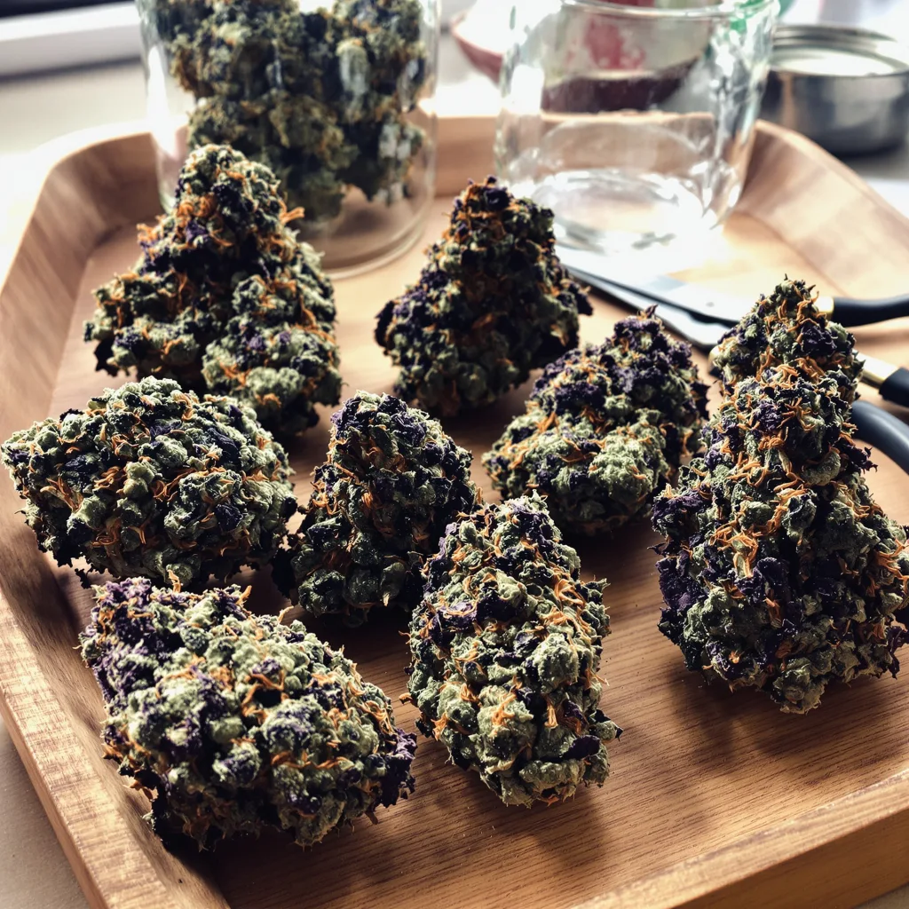 Northern Lights 81% indica / 19% sativa — fleur avec trichomes visibles