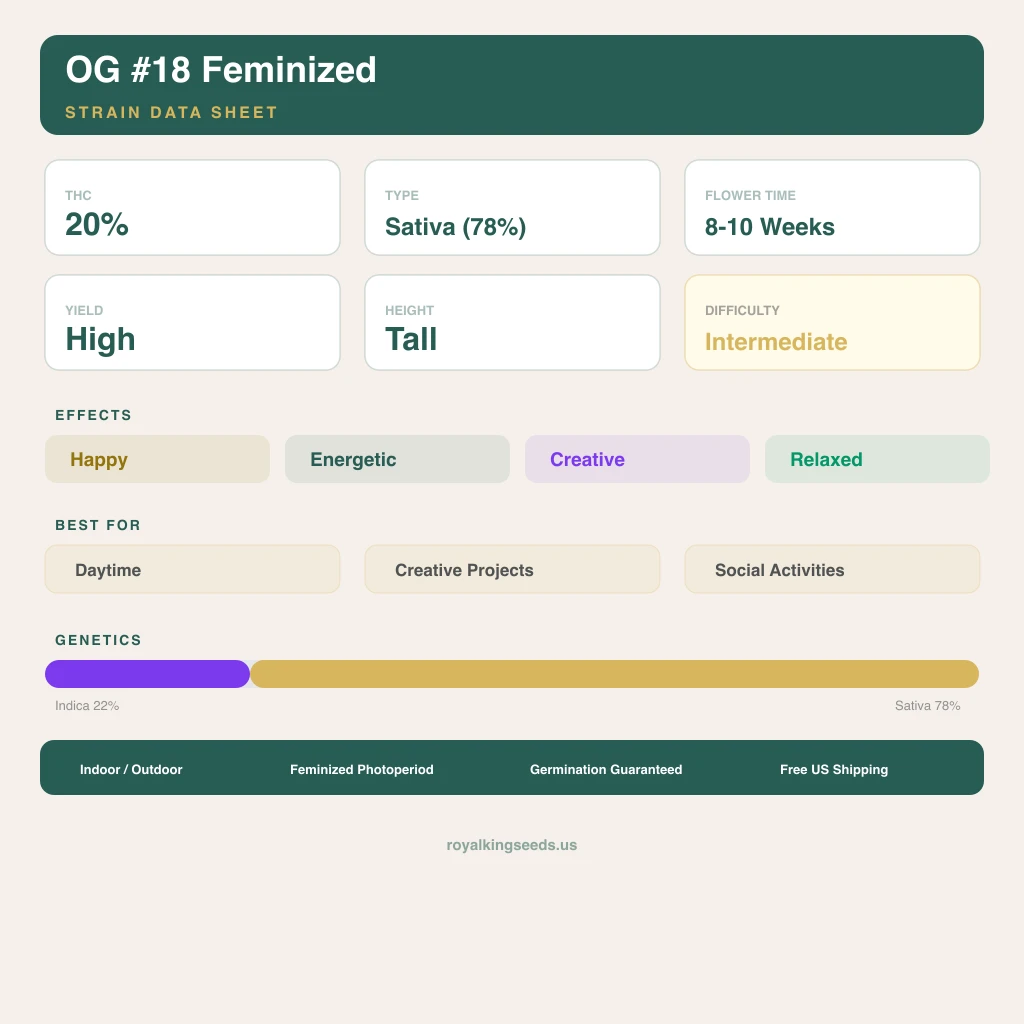 OG #18 22% indica / 78% sativa — fleur avec trichomes visibles
