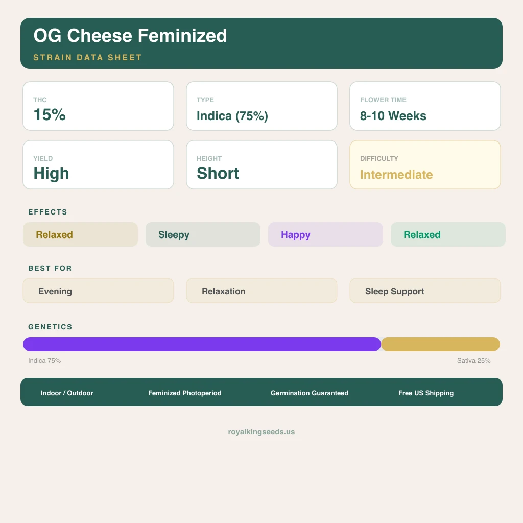 OG Cheese 75% indica / 25% sativa — fleur avec trichomes visibles