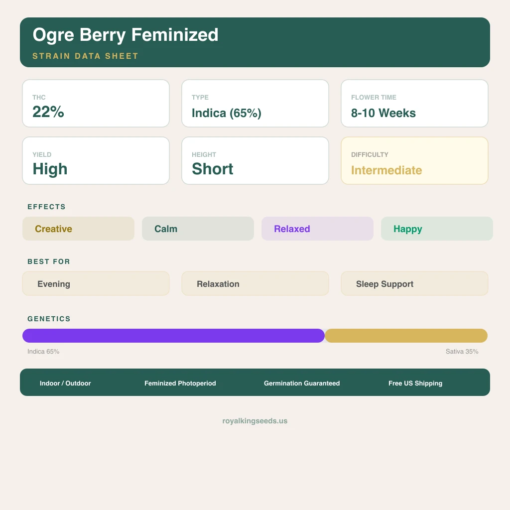 Ogre Berry 65% indica / 35% sativa — fleur avec trichomes visibles