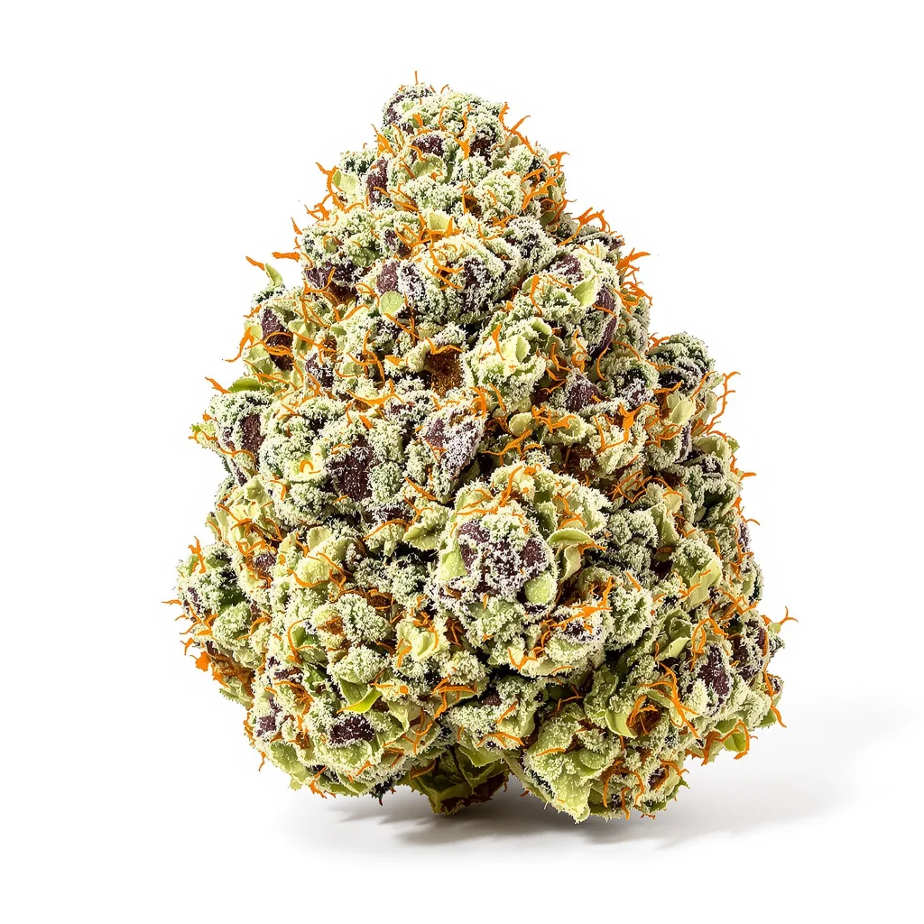 Orange Haze 40% indica / 60% sativa — fleur avec trichomes visibles
