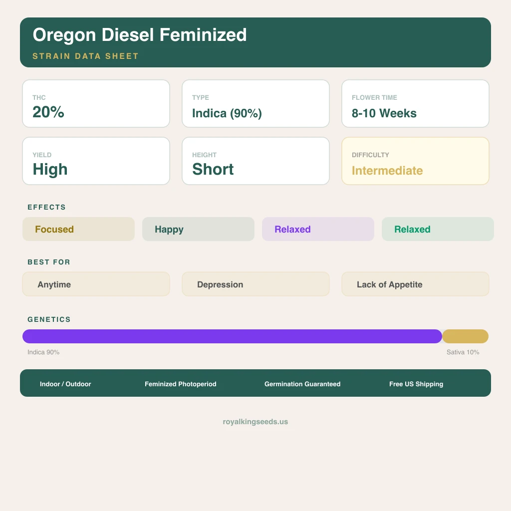 Oregon Diesel 90% indica / 10% sativa — fleur avec trichomes visibles