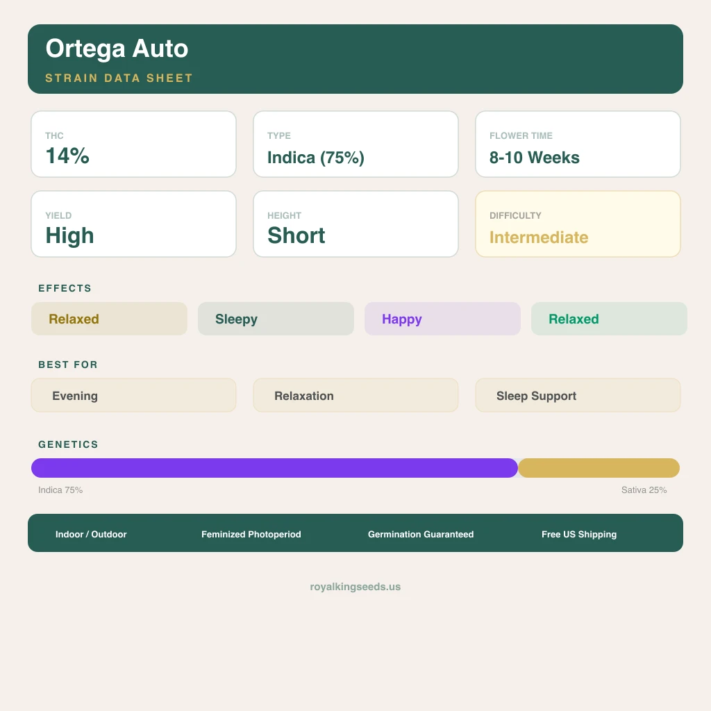 Ortega 75% indica / 25% sativa — fleur avec trichomes visibles