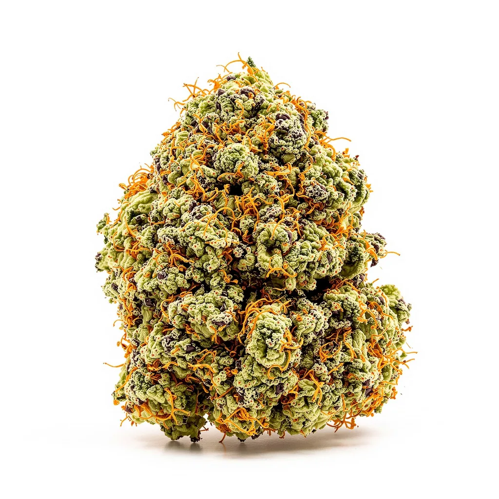 Pakistan Valley Kush 79% indica / 21% sativa — fleur avec trichomes visibles