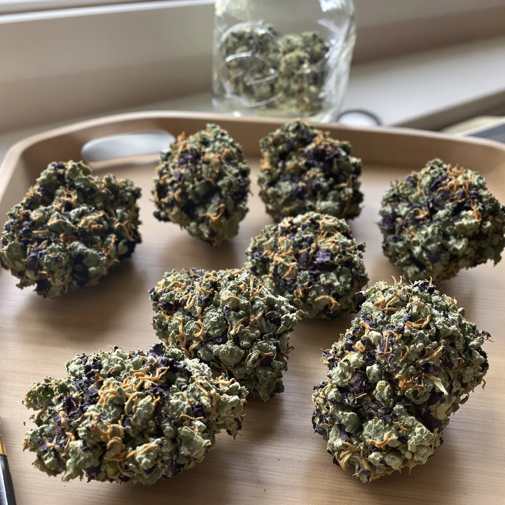 Pakistani Chitral Kush 86% indica / 14% sativa — fleur avec trichomes visibles