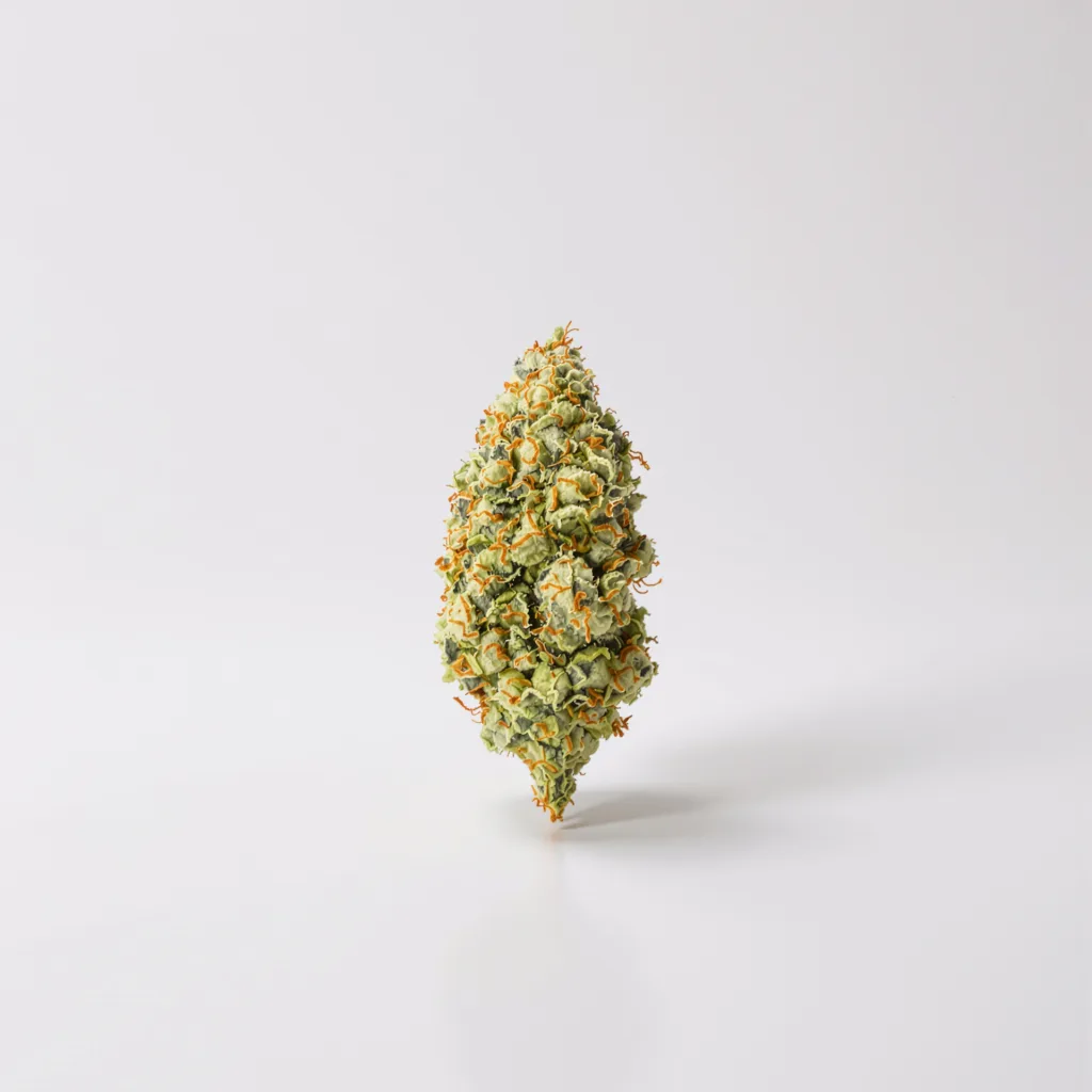 Pennywise CBD 58% indica / 42% sativa — fleur avec trichomes visibles