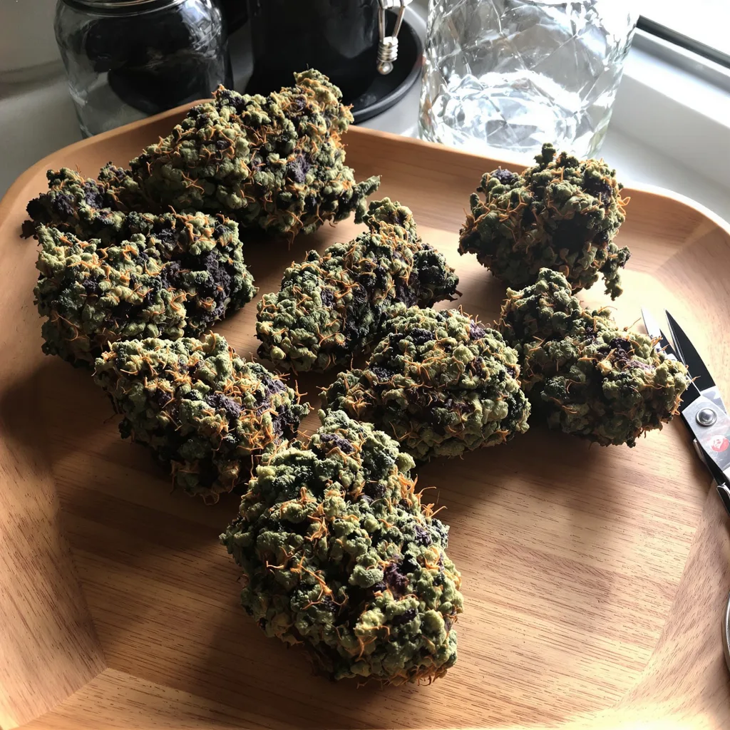 Pennywise 80% indica / 20% sativa — fleur avec trichomes visibles
