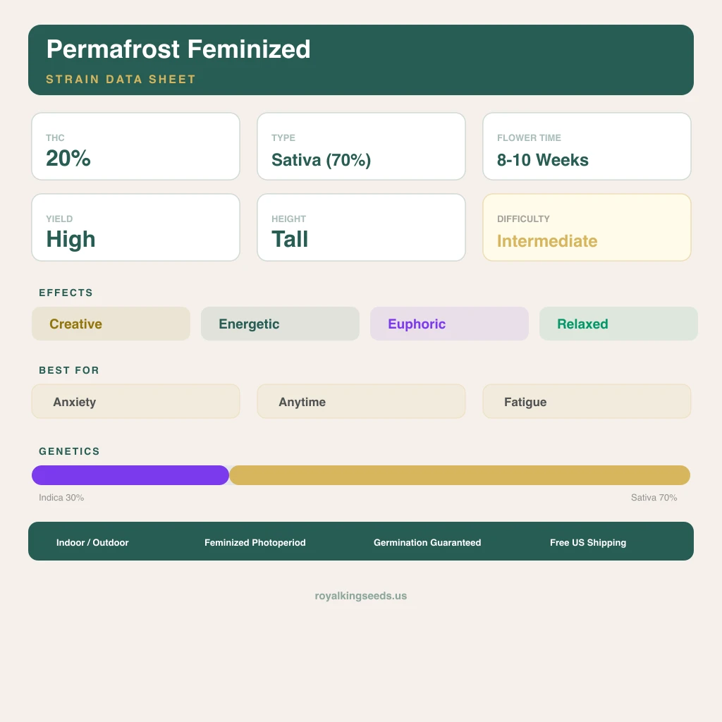 Permafrost 30% indica / 70% sativa — fleur avec trichomes visibles