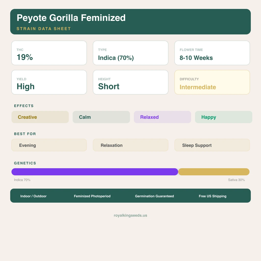 Peyote Gorilla 70% indica / 30% sativa — fleur avec trichomes visibles