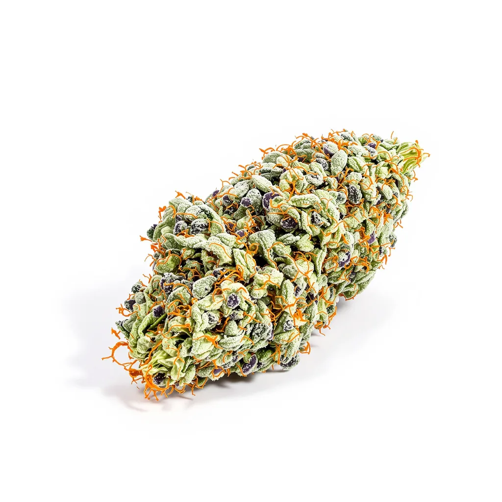 Pie Scream 53% indica / 47% sativa — fleur avec trichomes visibles