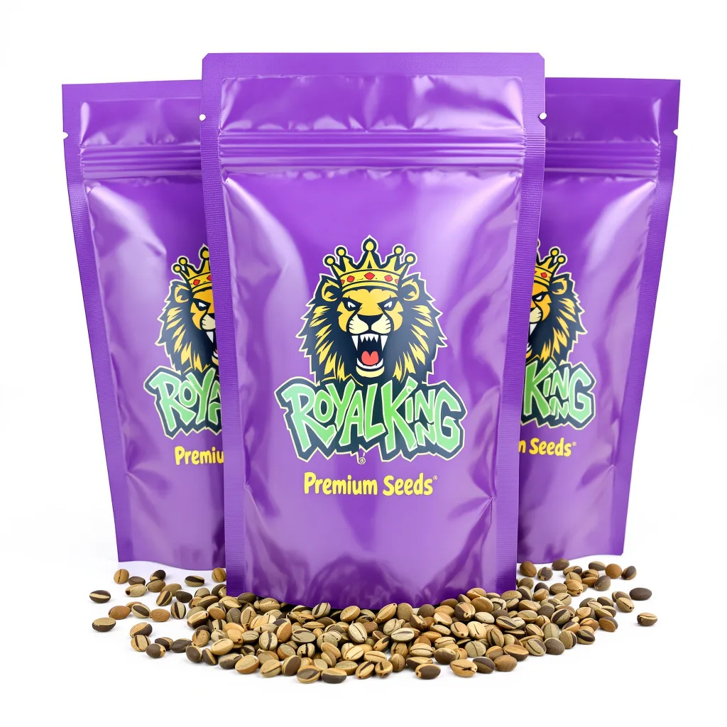 Pine 8% indica / 92% sativa — fleur avec trichomes visibles