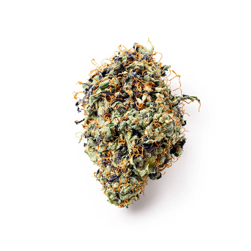 Pine Tar Kush 65% indica / 35% sativa — fleur avec trichomes visibles