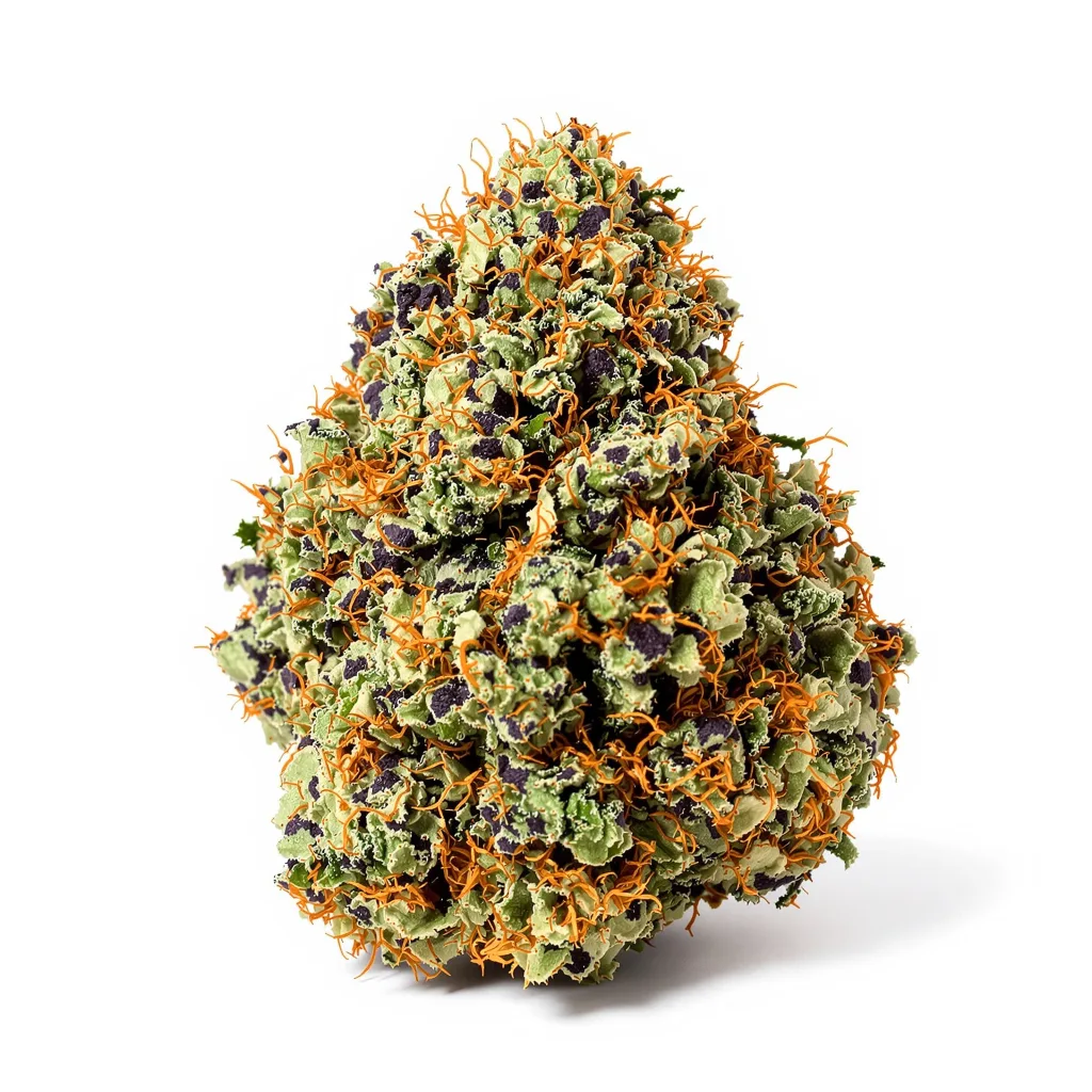 Pitbull Pit 80% indica / 20% sativa — fleur avec trichomes visibles